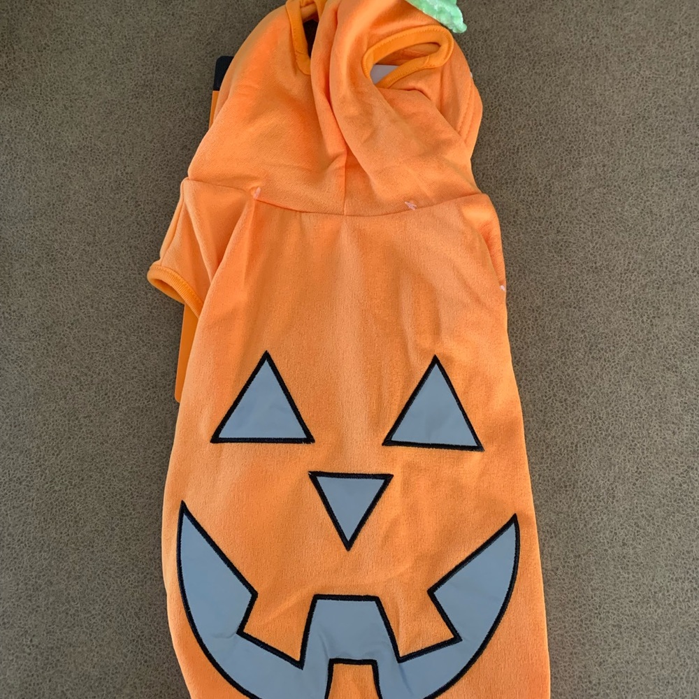 Dog Reflective Jack-O'-Lantern Costume
